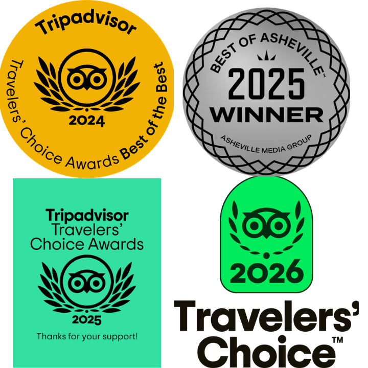 Trip Advisor Logo