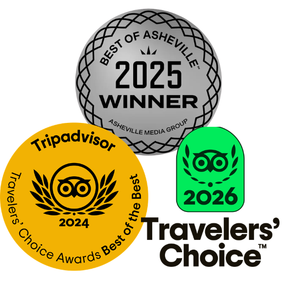 Trip Advisor Logo