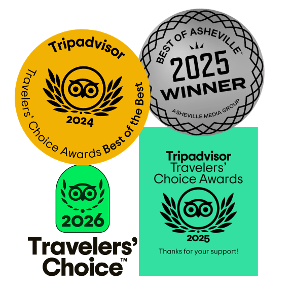 Trip Advisor Logo