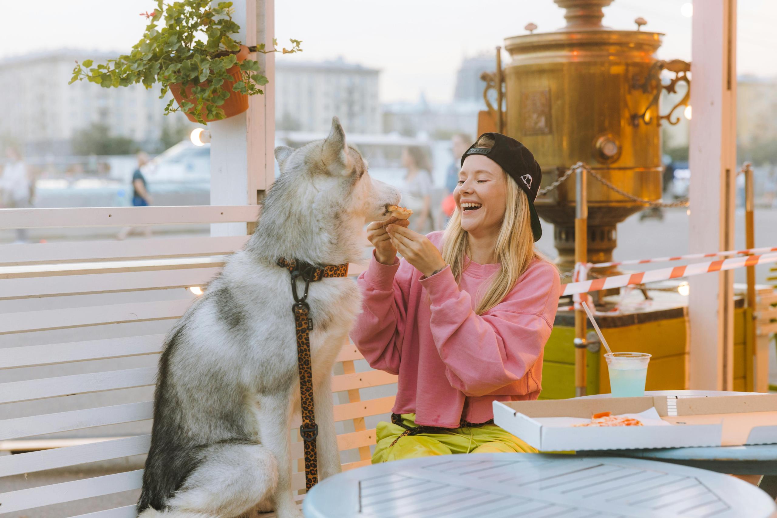 huskyatoutdoorrestaurant