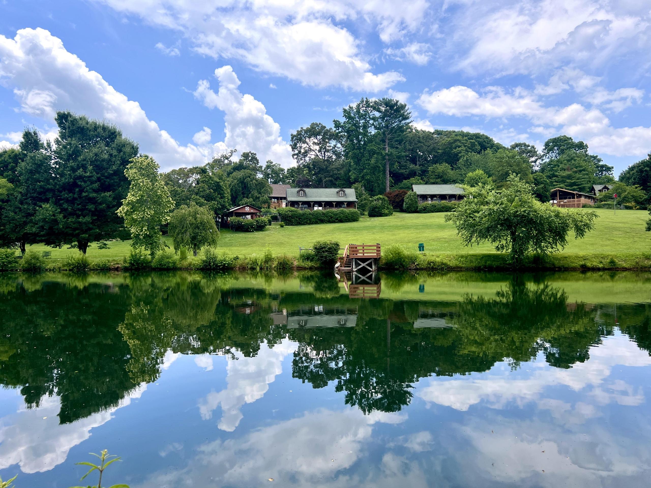 Barkwells Pond Summer Greens