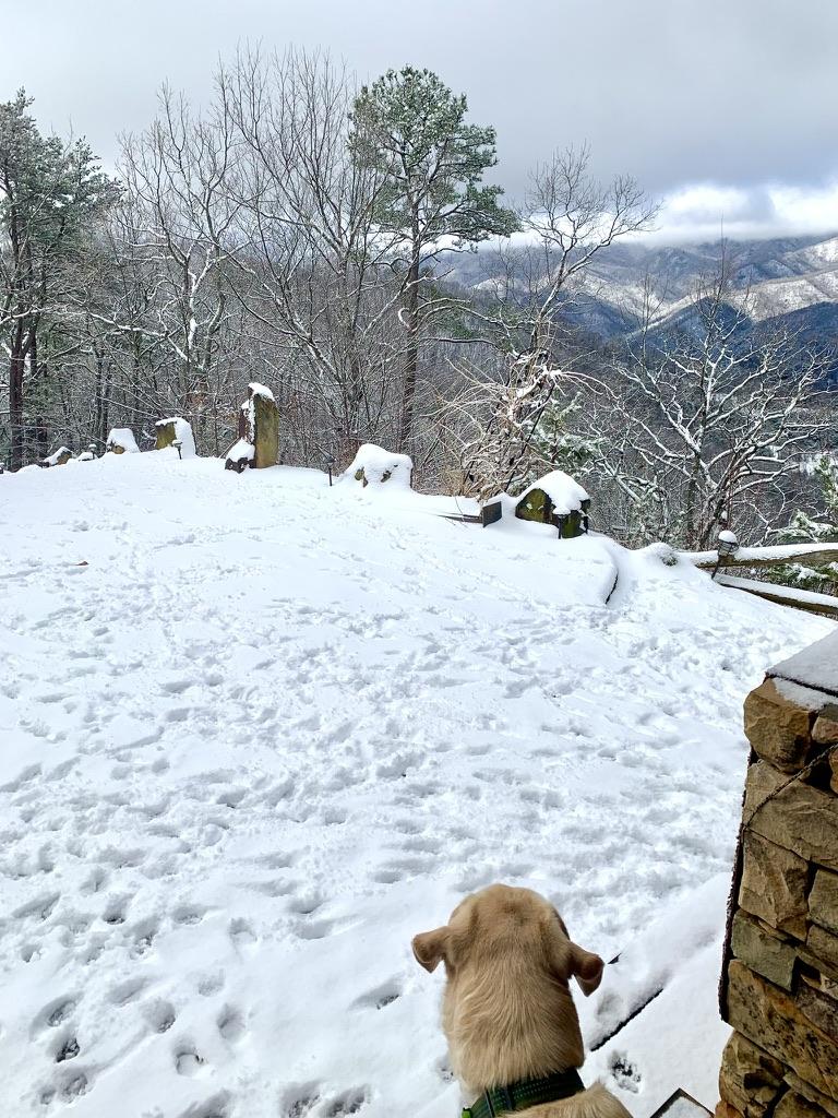 Snow at Nuggets Lodge