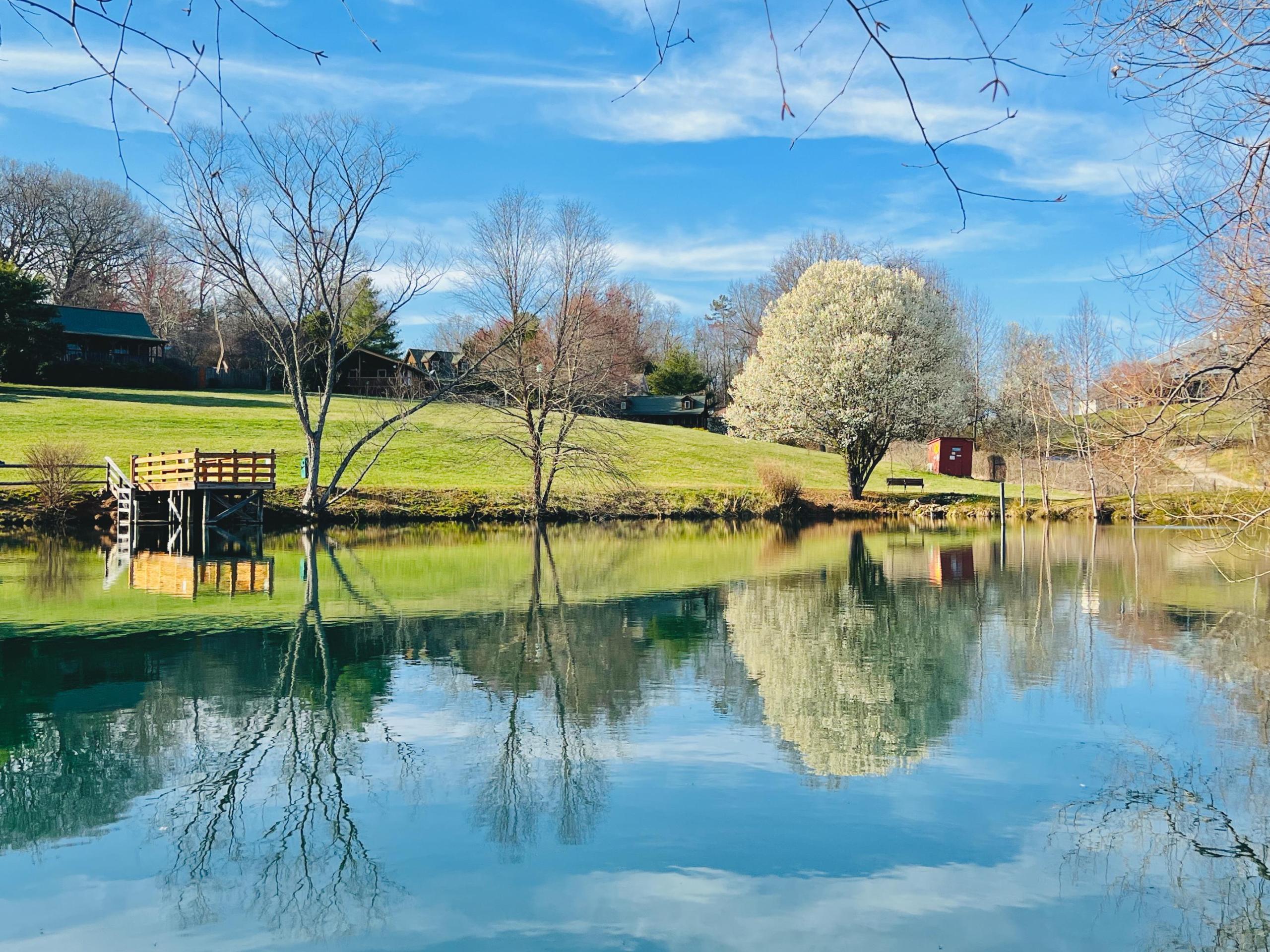 earlySpringAtBarkwells