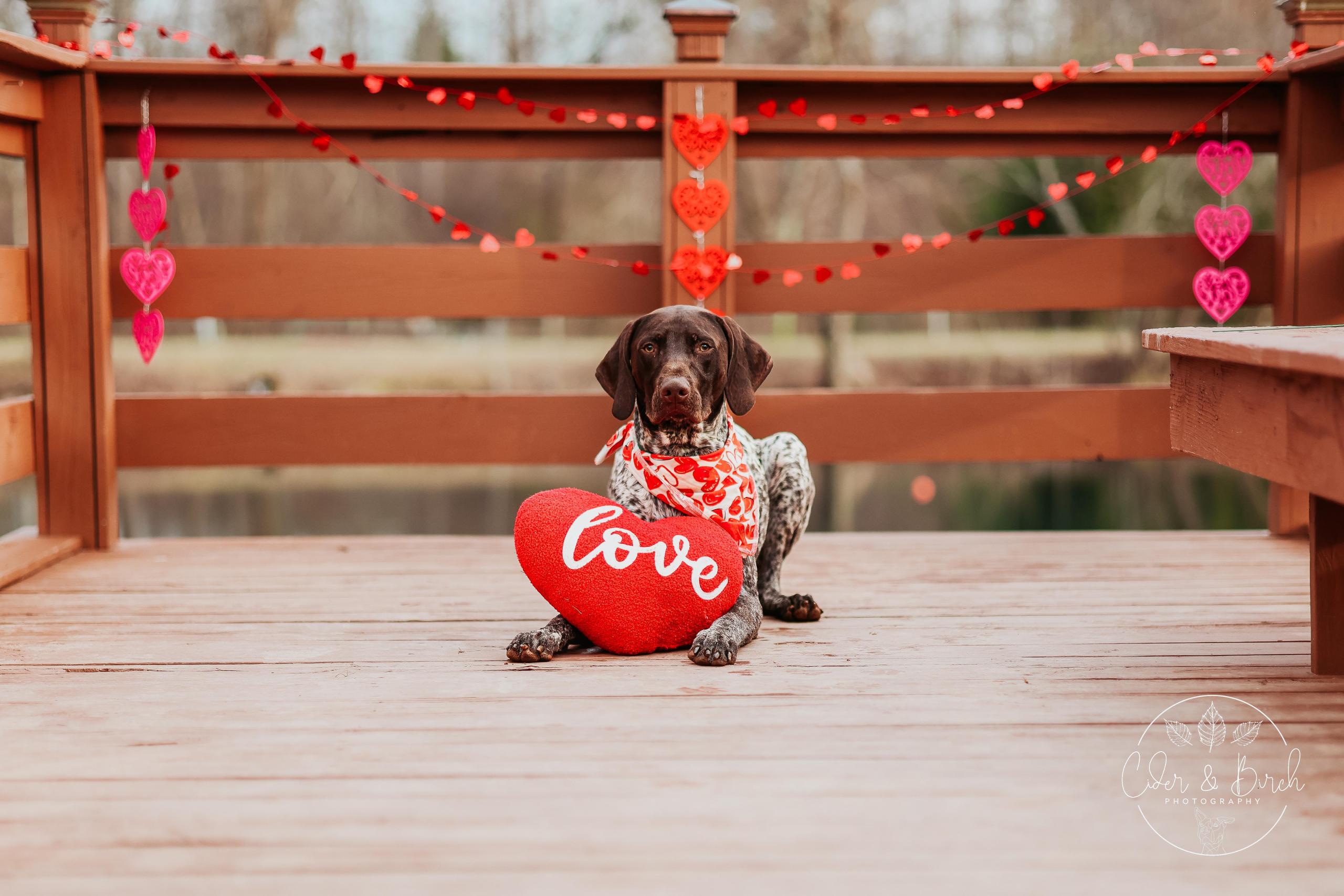 cbphotography-gunner-valentines image cbphotography gunner valentines