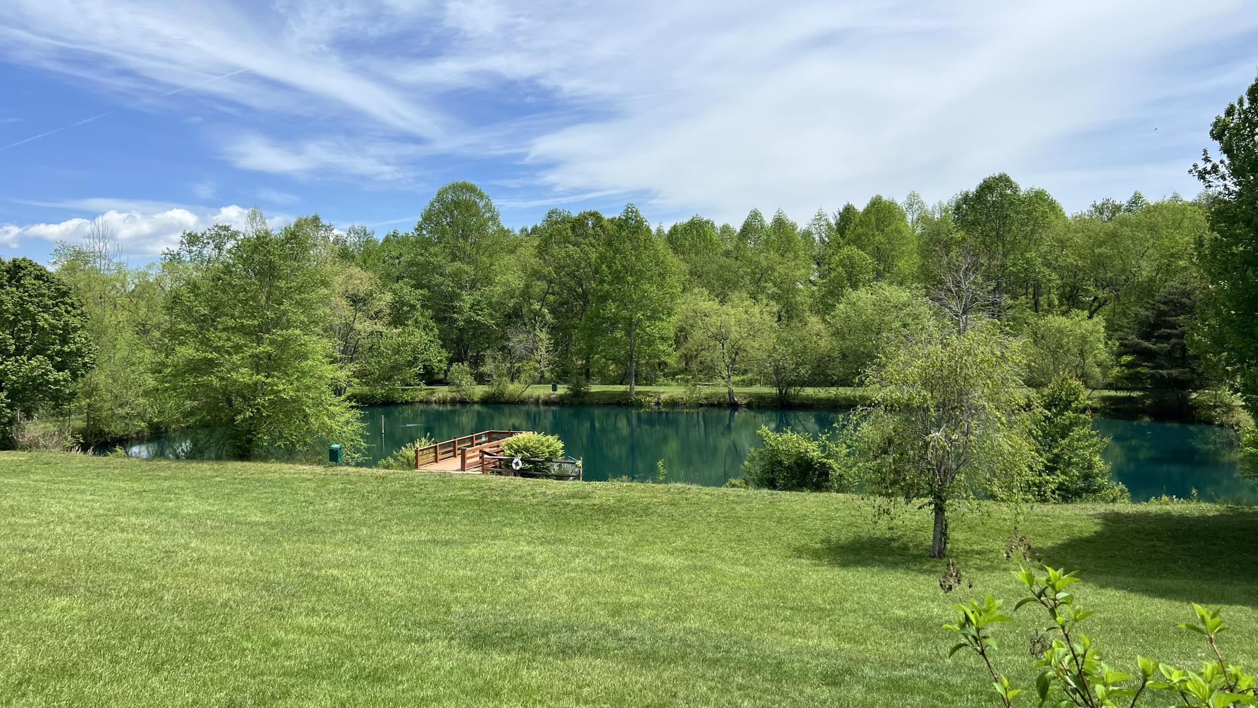 Spring Summer Barkwells Pond