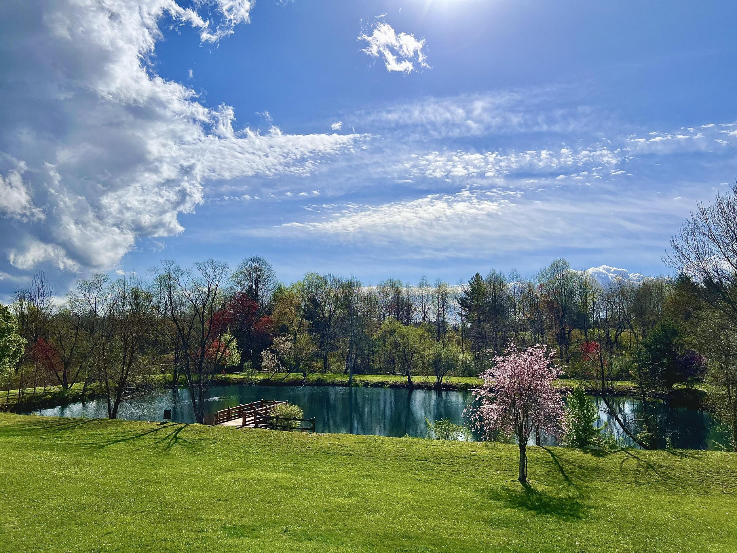 spring at the barkwells pond