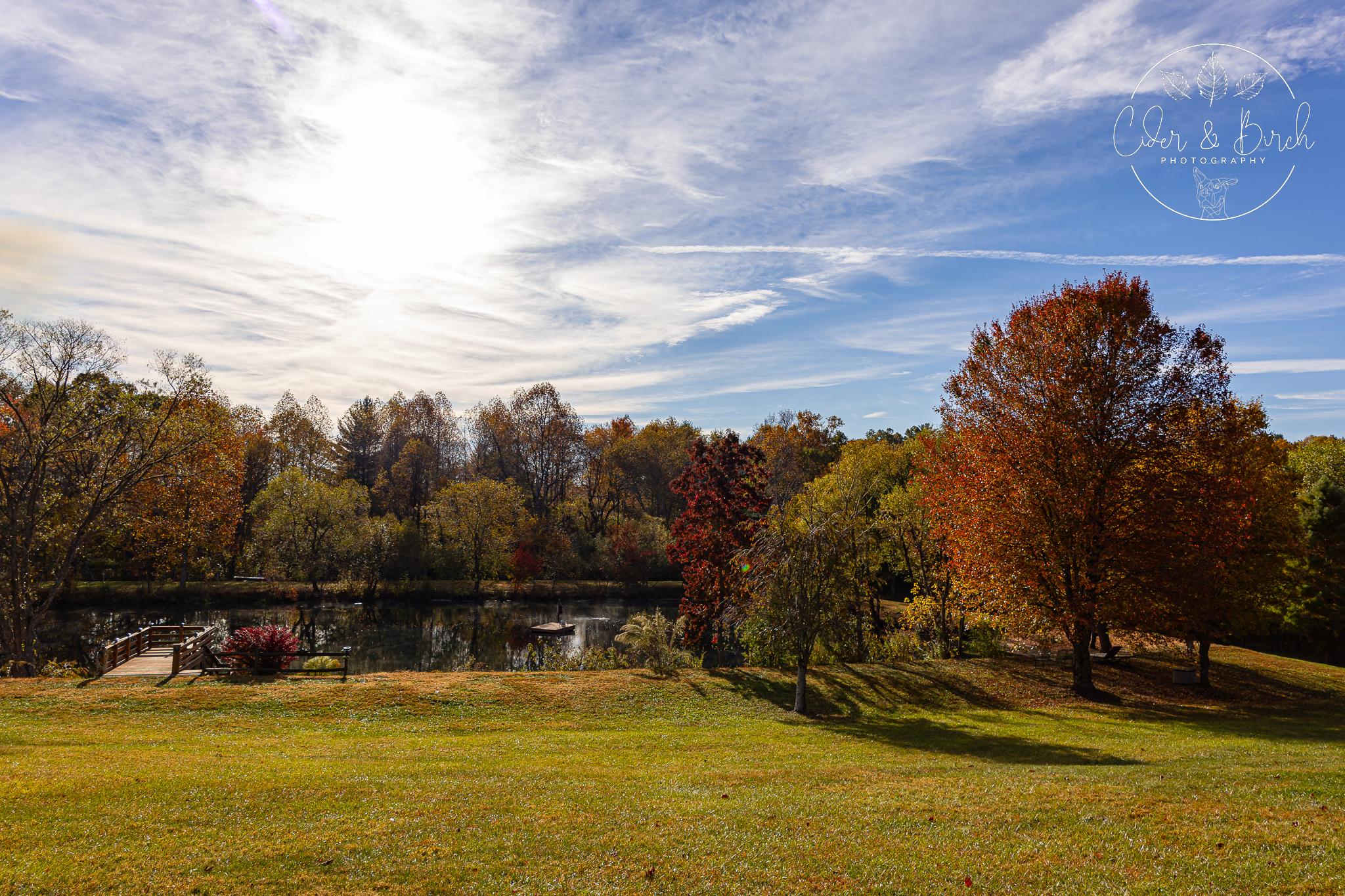 Barkwells Meadow Fall Morning