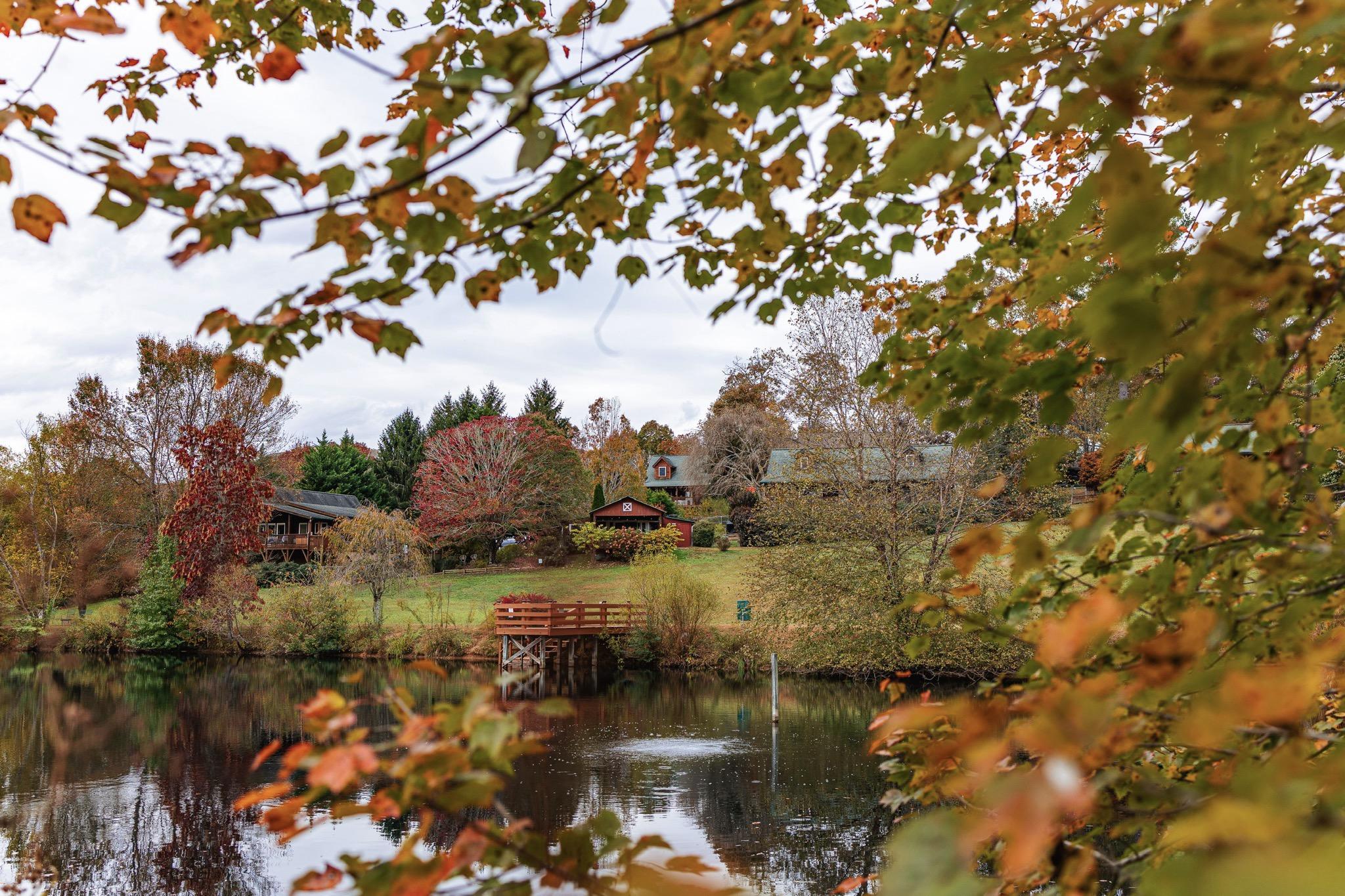 Barkwells Pond Fall 2025