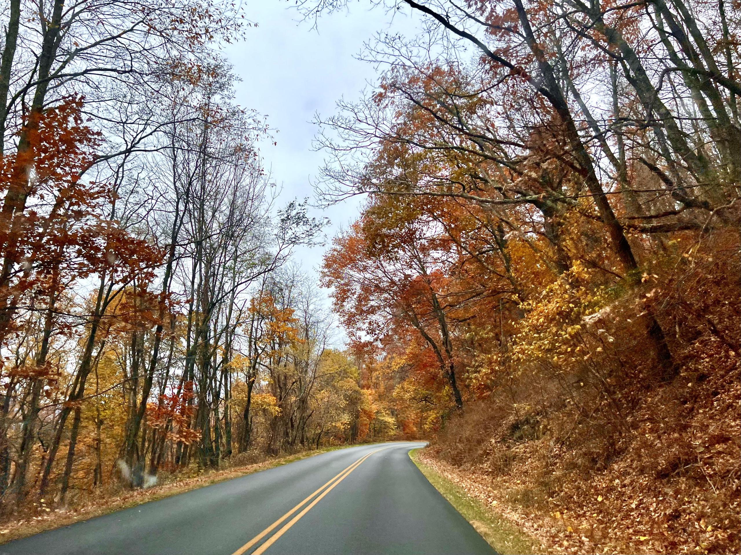 blue-ridge-parkway-fall-road image blue ridge parkway fall road