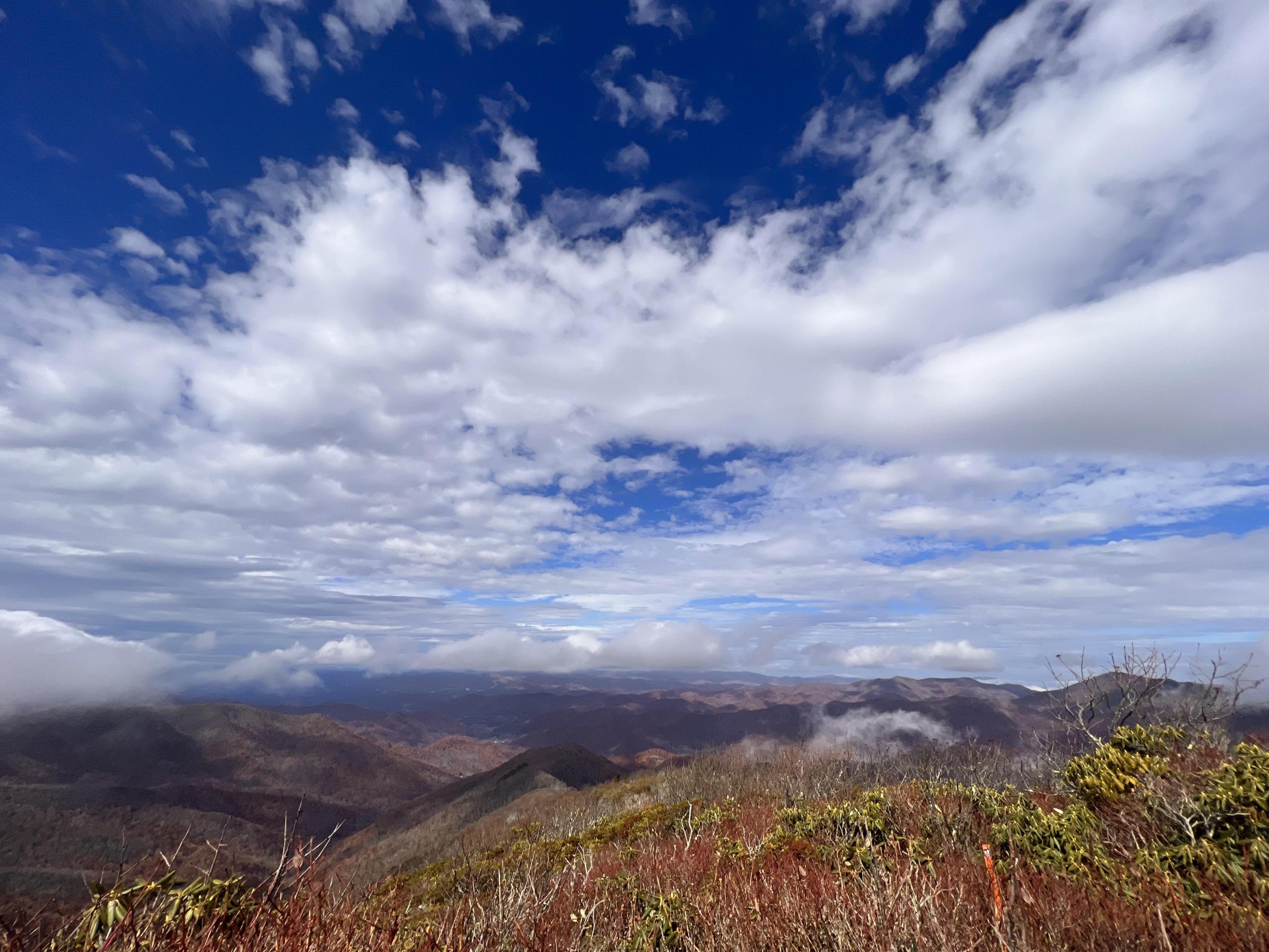 craggy-gardens-mountain-view image craggy gardens mountain view