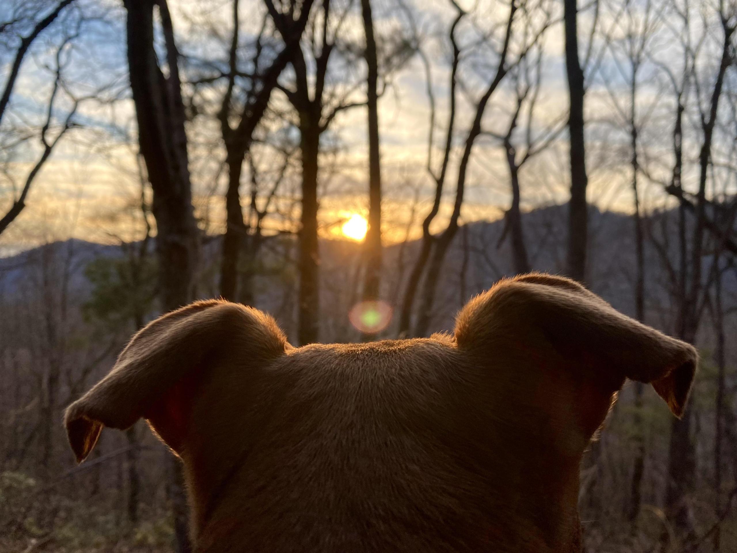 dog-ears-mountain-landscape image dog ears mountain landscape