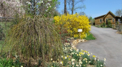 Spring Special