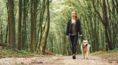 Best Hikes for Dogs in Asheville