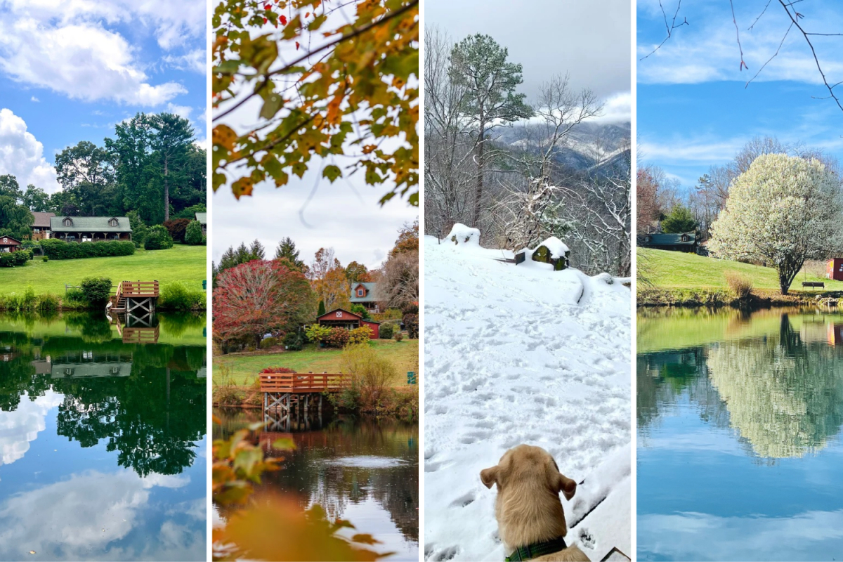 When Should You Visit Barkwells? A Season-by-Season Guide