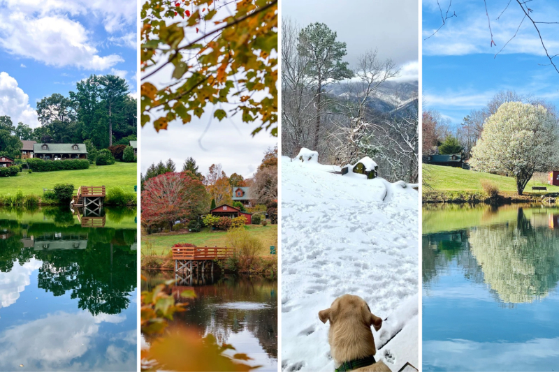 When Should You Visit Barkwells? A Season-by-Season Guide