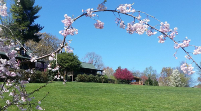 Reserve your spring staycation now!