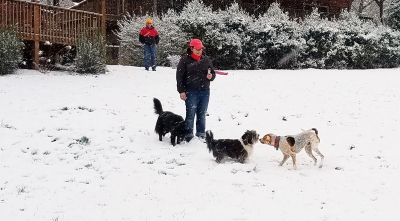 Barkwells Top Eight Winter Activities in Asheville