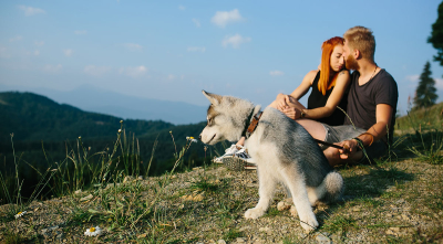 Top 7 Dog Friendly Summer Activities in Asheville