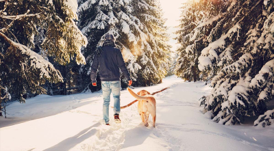 Barkwells Snow Sports in Asheville