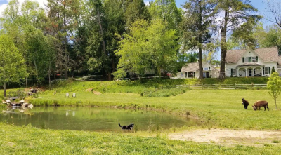 We are re-opening our dog-doors as of May 22!