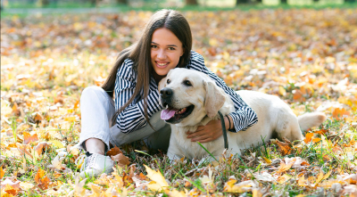 Affection Your Dog Loves