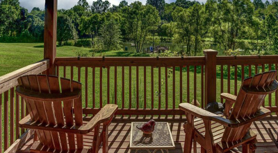 The Bark&rsquo;s Best Stays of Summer 2019