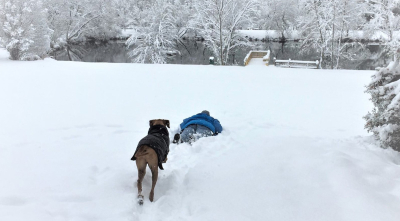 Barkwells Blizzard Bonanza!