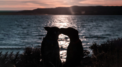 Celebrate the Month of Love with the ones who mean the world to you